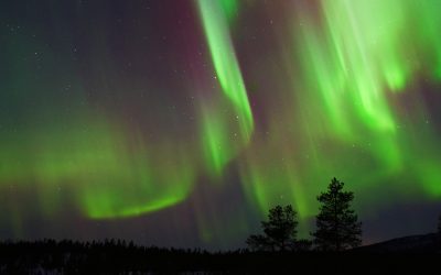 Goda tider för norrskensjakt